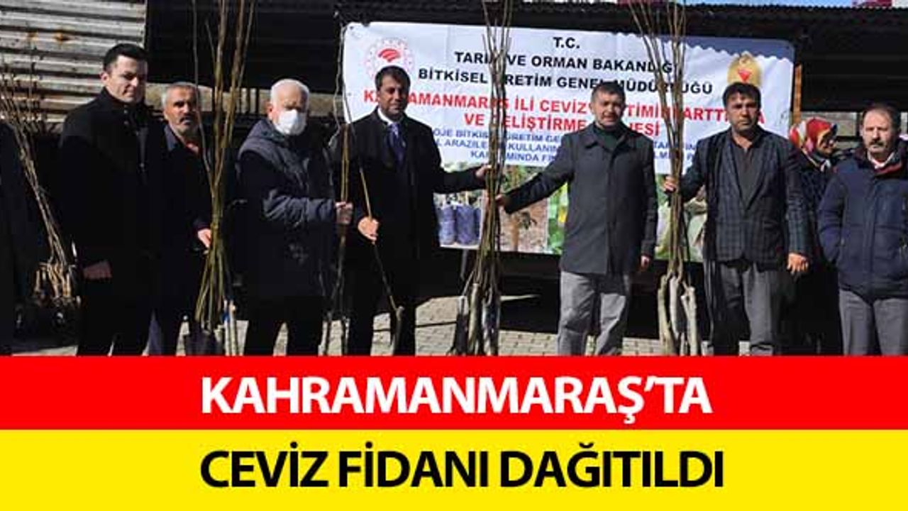 Kahramanmaraş'ta 2 bin 100 ceviz fidanı dağıtıldı