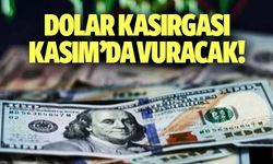 Dolar kasırgası Kasım’da vuracak!