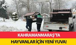 Kahramanmaraş’ta hayvanlar için yeni yuva!