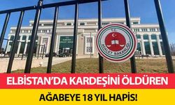 Elbistan’da kardeşini öldüren ağabeye 18 yıl hapis!