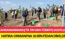 Kahramanmaraş'ta Tayvan-Türkiye dostluk hatıra ormanı'na 30 bin fidan dikildi