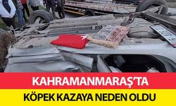 Kahramanmaraş’ta köpek kazaya neden oldu