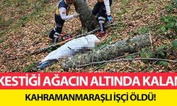 Kestiği ağacın altında kalan Kahramanmaraşlı işçi öldü!