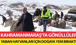 Kahramanmaraş'ta Gönüllüler Yaban Hayvanları İçin Doğaya Yem Bıraktı