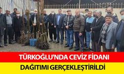 Türkoğlu'nda ceviz fidanı dağıtımı gerçekleştirildi