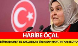 Habibe Öçal, ‘Dünyada her yıl yaklaşık 66 bin kadın hayatını kaybediyor’