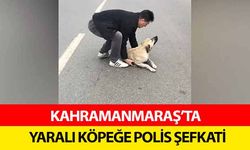 Kahramanmaraş’ta yaralı köpeğe polis şefkati