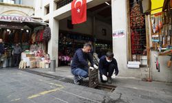 Kahramanmaraş Büyükşehir İlaçlama Çalışmalarını Sürdürüyor