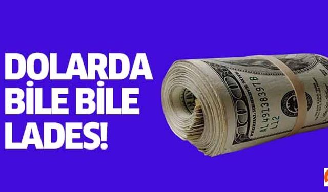 Dolarda bile bile lades!