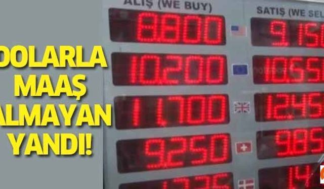 Dolarla maaş almayan yandı