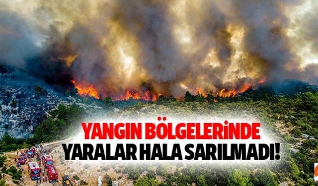 Yangın bölgelerinde yaralar hala sarılmadı