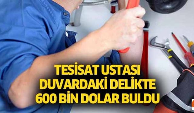 Tesisat Ustası, Duvardaki Delikte 600 Bin Dolar Buldu