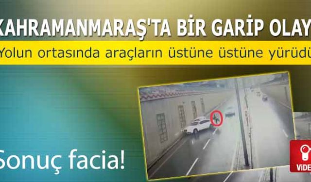 Kahramanmaraş'ta bir garip olay! Yolun ortasında araçların üstüne üstüne yürüdü