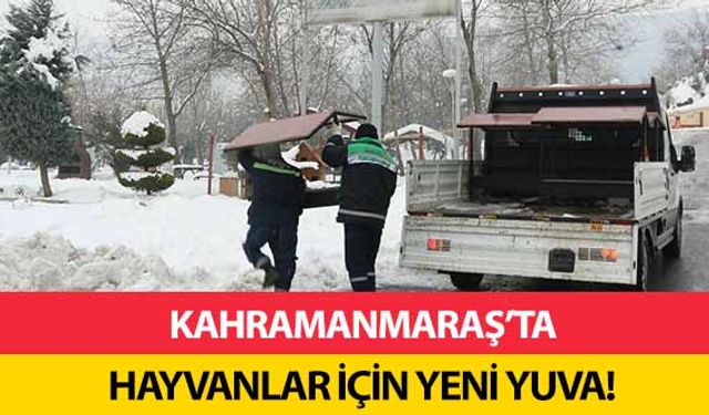 Kahramanmaraş’ta hayvanlar için yeni yuva!