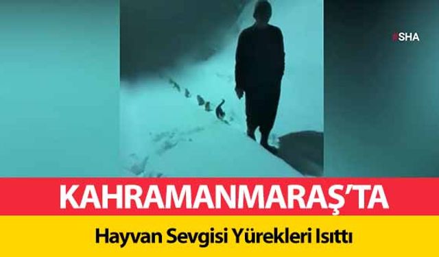 Kahramanmaraş’ta Hayvan Sevgisi Yürekleri Isıttı