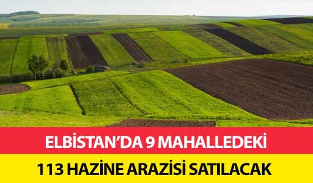 Elbistan’da 9 mahalledeki 113 hazine arazisi satılacak