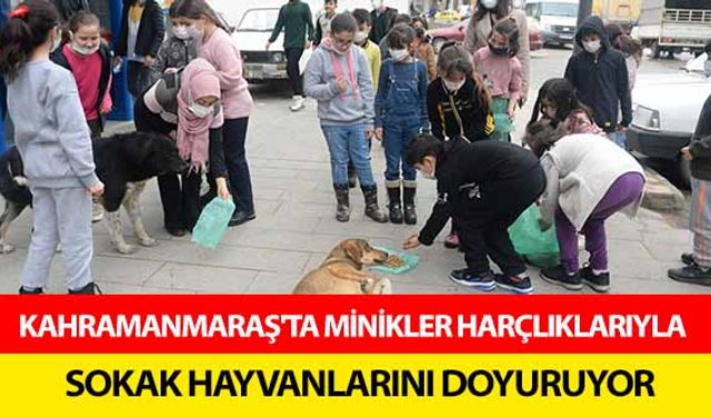 Kahramanmaraş'ta minikler harçlıklarıyla sokak hayvanlarını doyuruyor