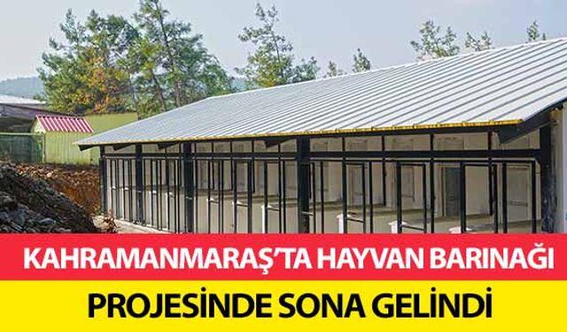 Kahramanmaraş’ta hayvan barınağı projesinde sona gelindi