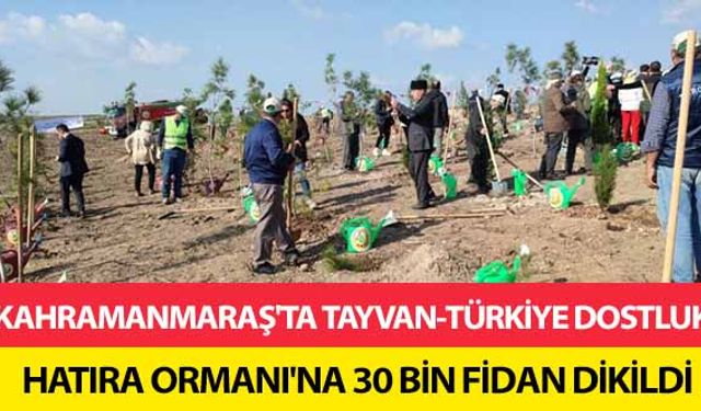 Kahramanmaraş'ta Tayvan-Türkiye dostluk hatıra ormanı'na 30 bin fidan dikildi