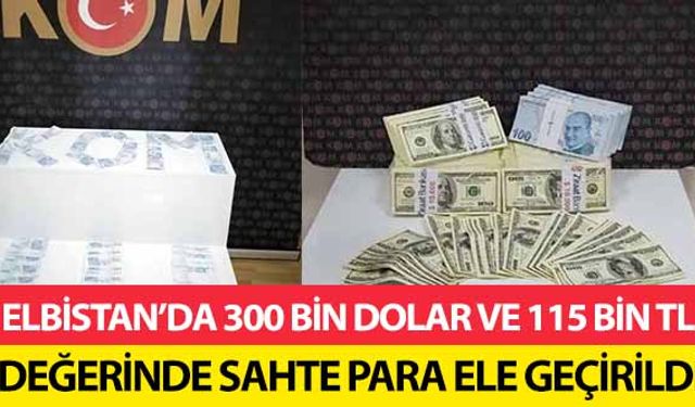 Elbistan’da 300 bin dolar ve 115 bin TL değerinde sahte para ele geçirildi