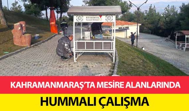 Kahramanmaraş’ta mesire alanlarında hummalı çalışma