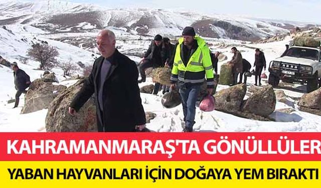 Kahramanmaraş'ta Gönüllüler Yaban Hayvanları İçin Doğaya Yem Bıraktı