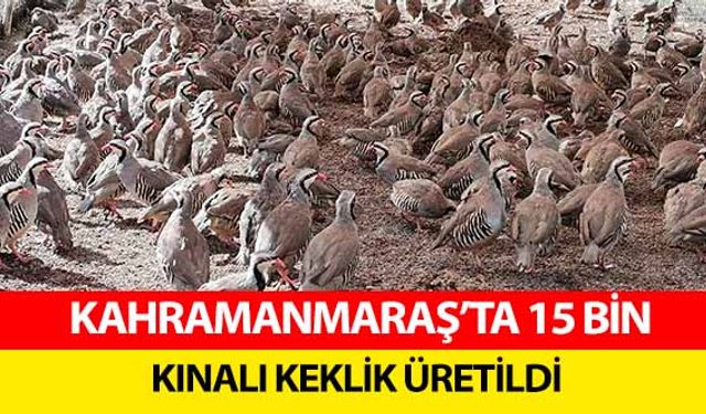 Kahramanmaraş’ta 15 bin kınalı keklik üretildi