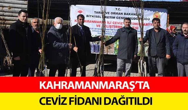 Kahramanmaraş'ta 2 bin 100 ceviz fidanı dağıtıldı