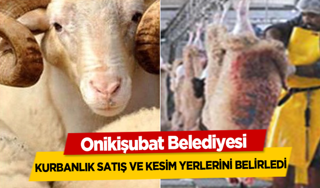 Onikişubat Belediyesi, kurbanlık satış ve kesim yerlerini belirledi