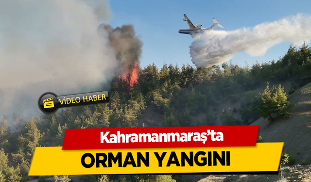 Kahramanmaraş’ta ormanlarımız cayır cayır yanıyor