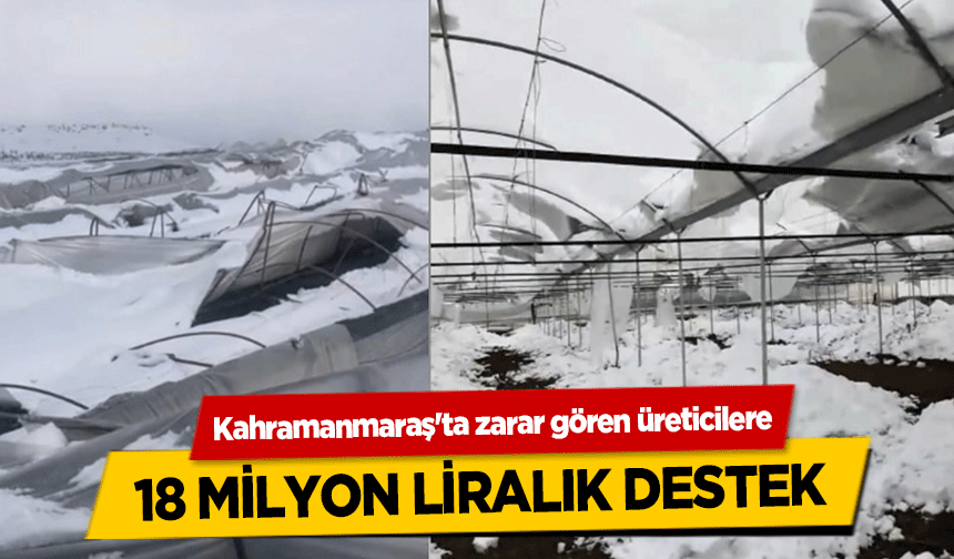 Kahramanmaraş'ta zarar gören üreticilere 18 milyon liralık destek