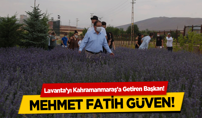 Lavanta’yı Kahramanmaraş'a Getiren Başkan! Mehmet Fatih Güven