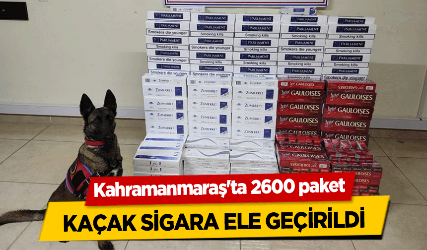 Kahramanmaraş'ta 2600 paket kaçak sigara ele geçirildi