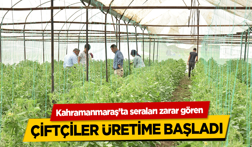 Kahramanmaraş'ta seraları zarar gören çiftçiler üretime başladı