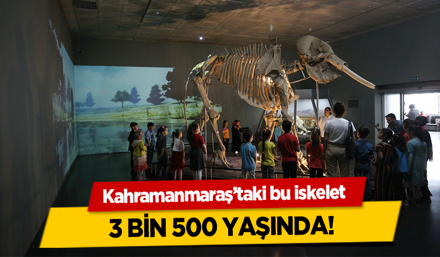Kahramanmaraş’taki bu iskelet 3 bin 500 yaşında!
