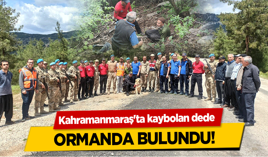Kahramanmaraş'ta kaybolan dede ormanda bulundu!