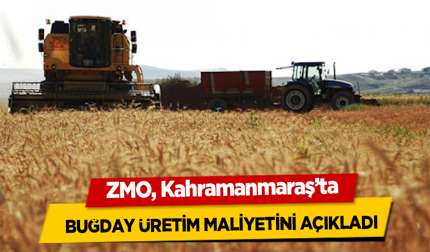 ZMO, Kahramanmaraş’ta buğday üretim maliyetini açıkladı