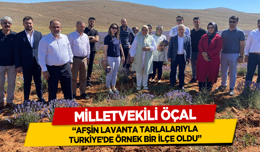 Milletvekili Öçal, ‘Afşin lavanta tarlalarıyla Türkiye’de örnek bir ilçe oldu’