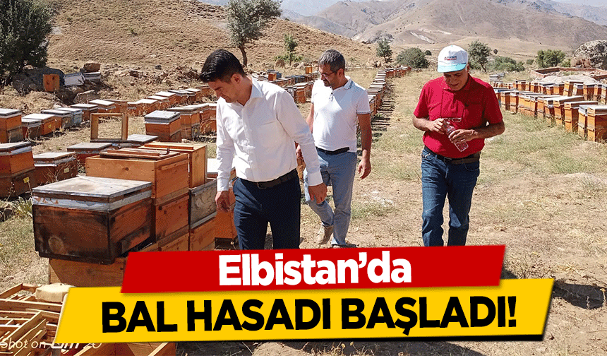 Elbistan’da bal hasadı başladı!