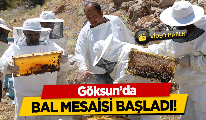 Göksun’da bal mesaisi başladı!