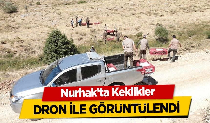 Nurhak’ta Keklikler dron ile görüntülendi