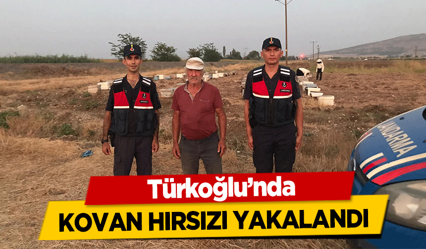 Türkoğlu’nda kovan hırsızı yakalandı