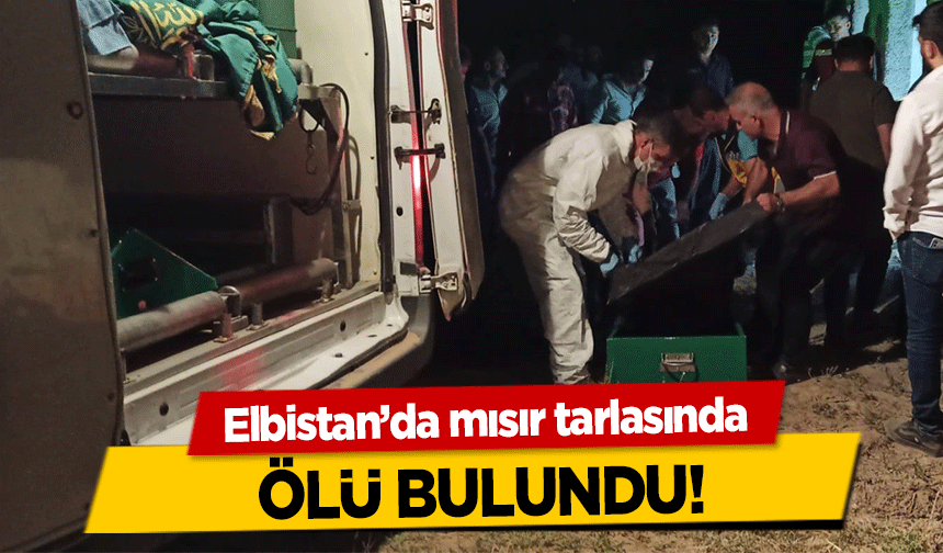 Elbistan’da mısır tarlasında ölü bulundu!