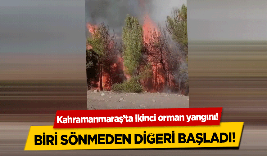 Kahramanmaraş’ta ikinci orman yangını! Biri sönmeden diğeri başladı