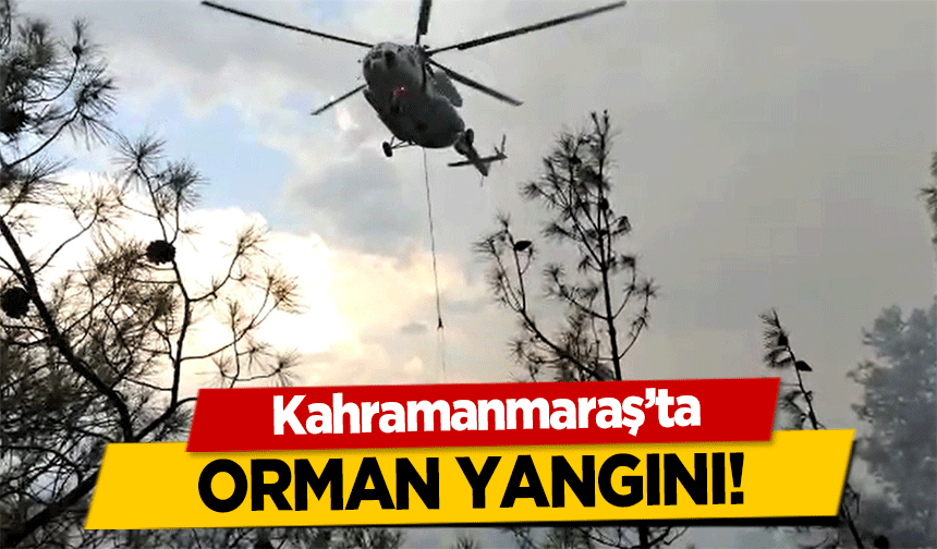 Kahramanmaraş’ta orman yangını! 