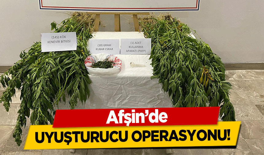 Afşin’de uyuşturucu operasyonu!