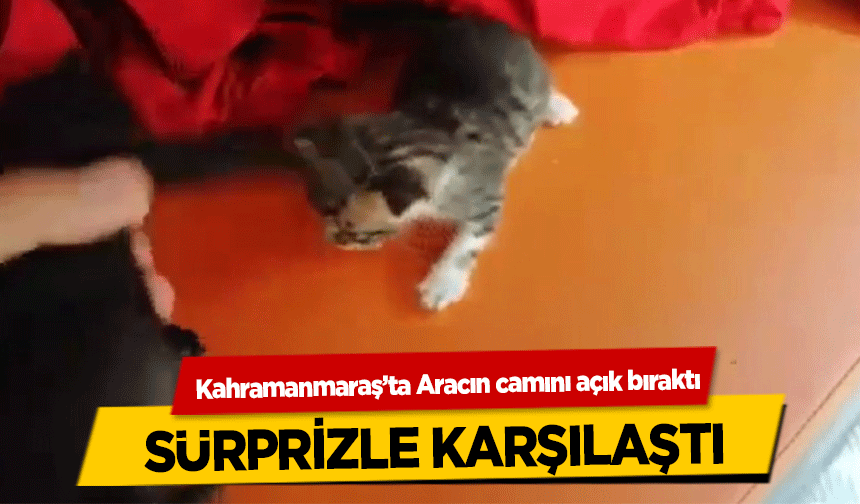 Kahramanmaraş’ta Aracın camını açık bıraktı, sürprizle karşılaştı