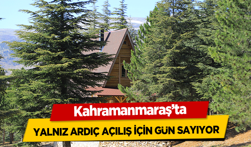 Kahramanmaraş’ta Yalnız Ardıç Açılış İçin Gün Sayıyor