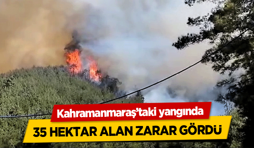 Kahramanmaraş’taki yangında 35 hektar alan zarar gördü