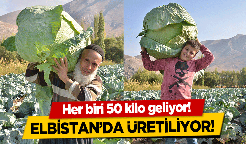 Her biri 50 kilo geliyor! Elbistan’da üretiliyor!